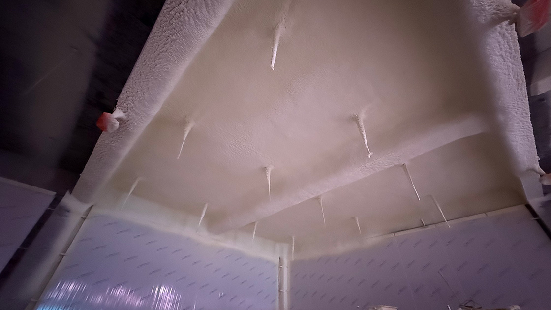 ��ͼƬ_202505071816261.jpg ��ͼƬ_202505071816261.jpg